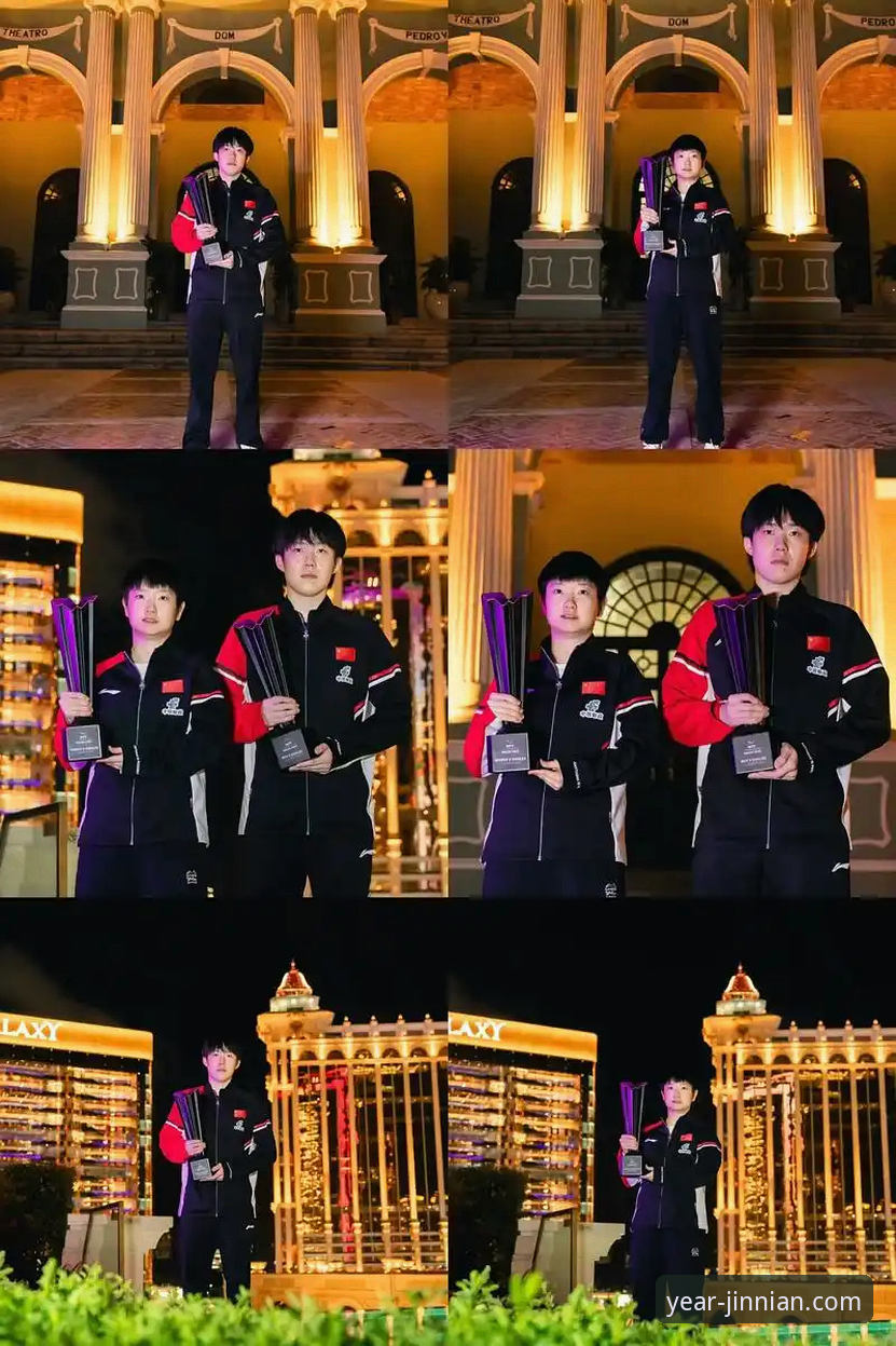 金年会平台介绍 如何从一场青春风暴中,看懂国乒的未来与挑战?